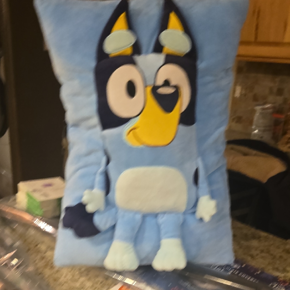 Bluey Plush Decorative Pillow – Soft Kids Character Cushion – Like New